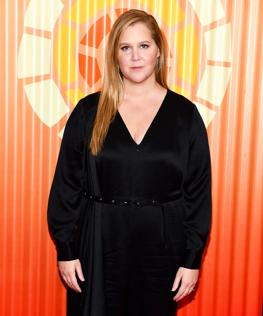 Amy Schumer Into IVF Clinic Amy Schumer IVF Clinic,
