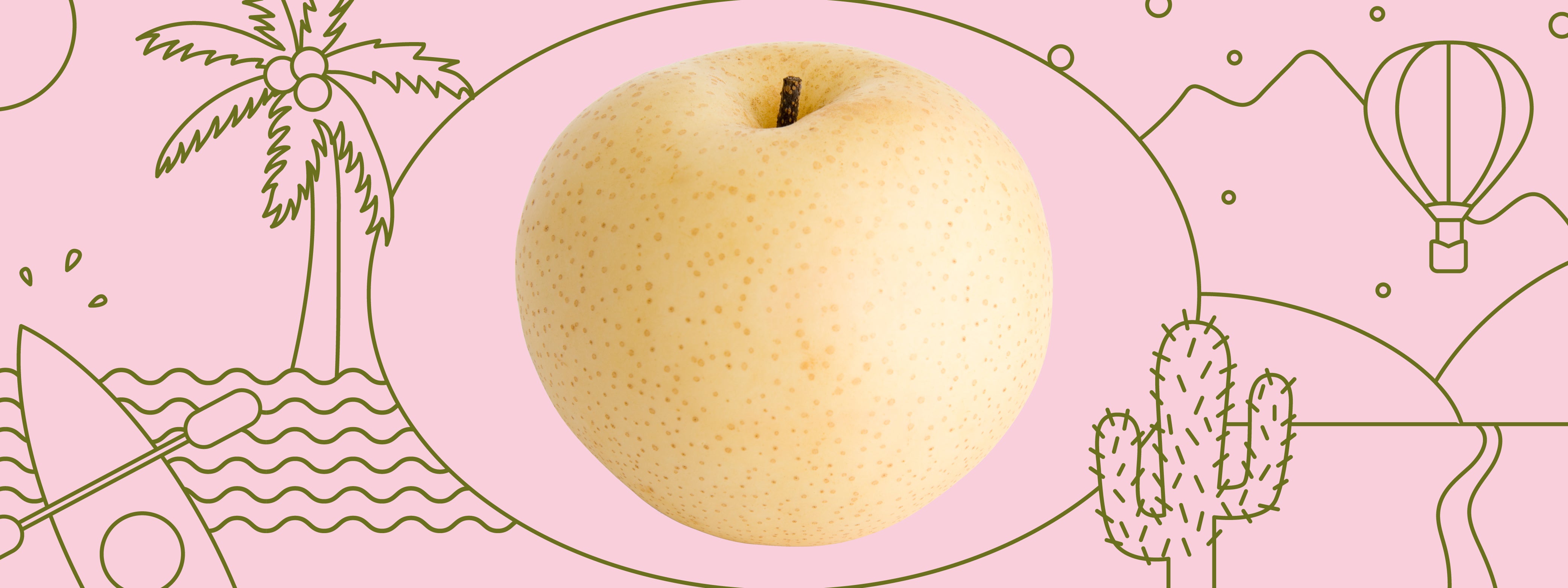 Tokyo Japan Travel Guide Solo Trip Budget