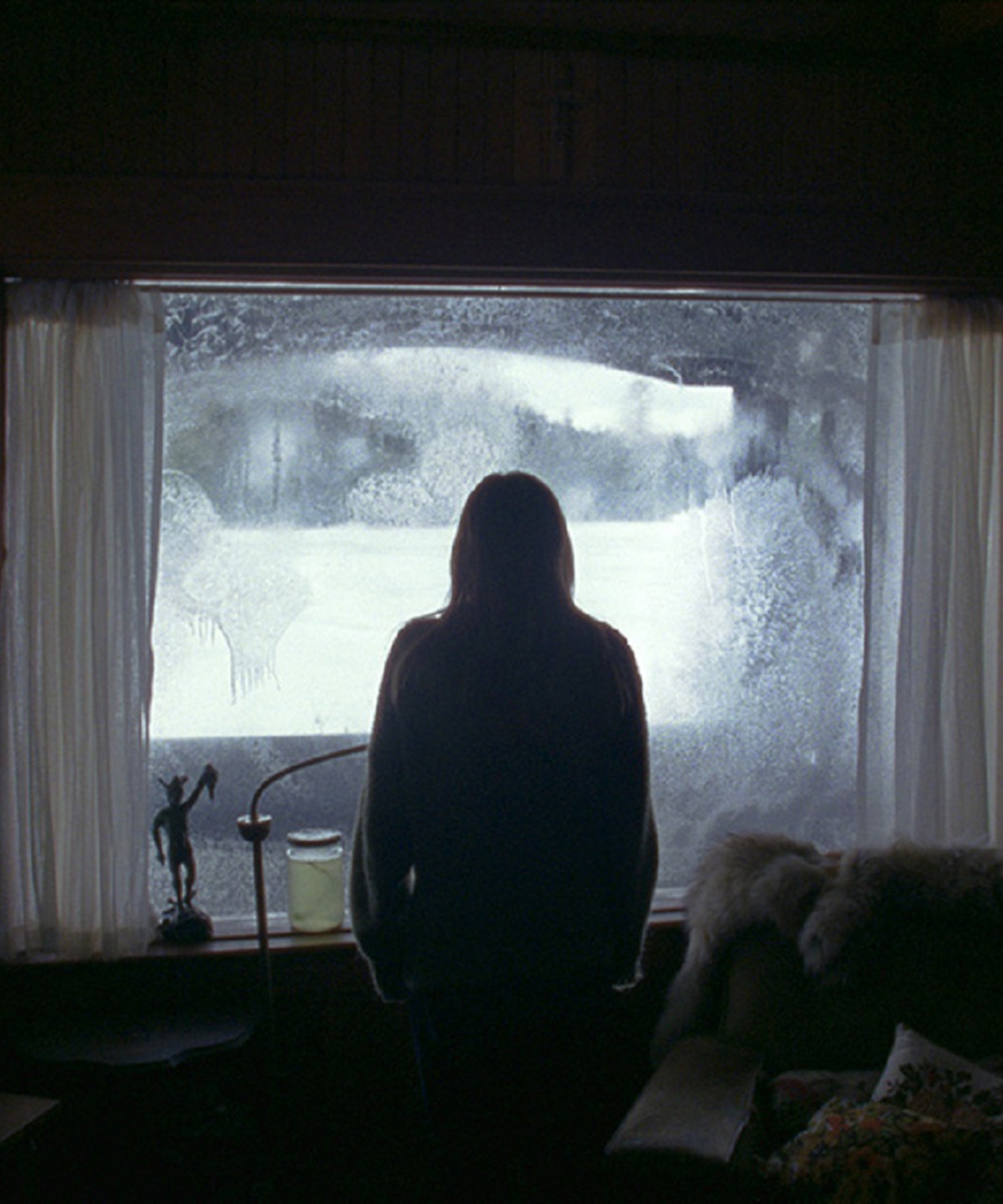 Moviesthe Bleak Ending Of The Lodge Explained