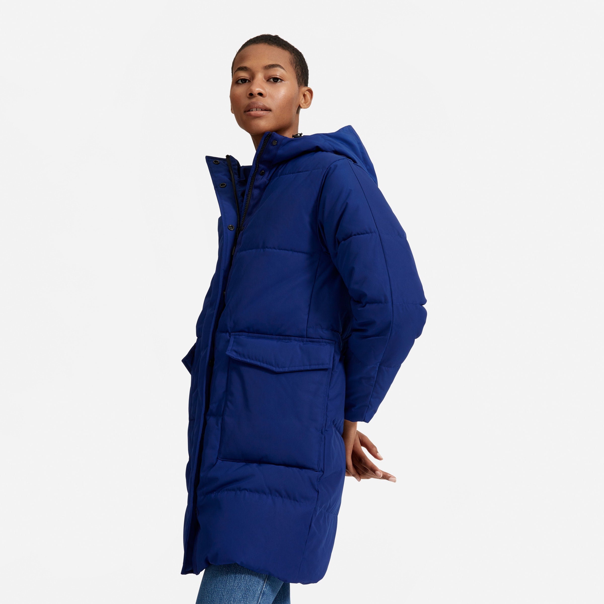 Everlane the on sale renew long puffer