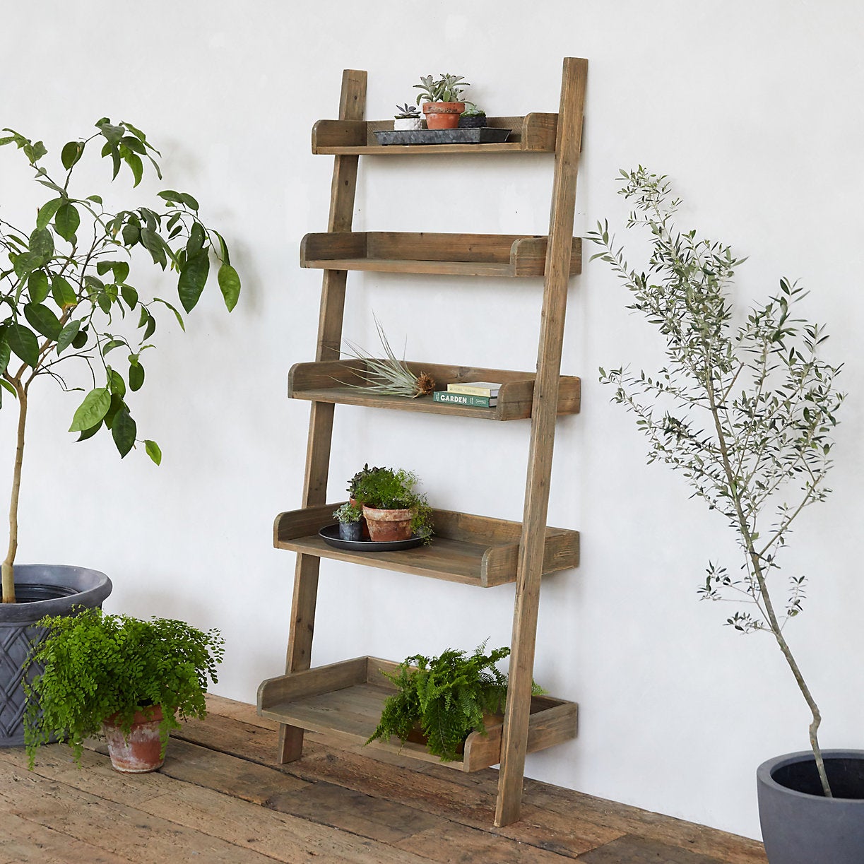 Terrain + Reclaimed Pine Leaning Shelf