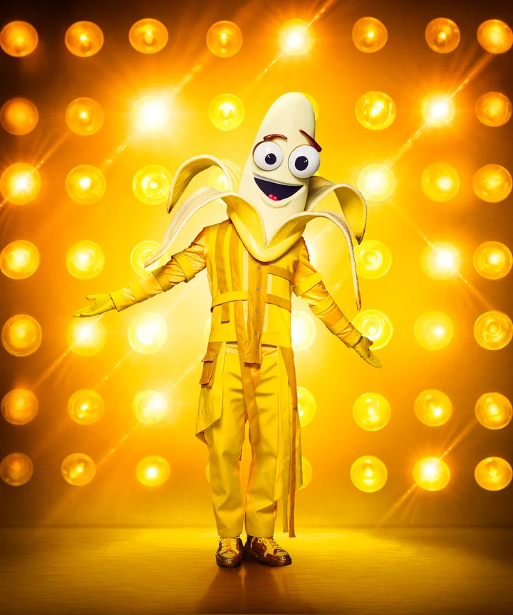 15+ The Masked Singer Germany Season 3 Costumes Gif