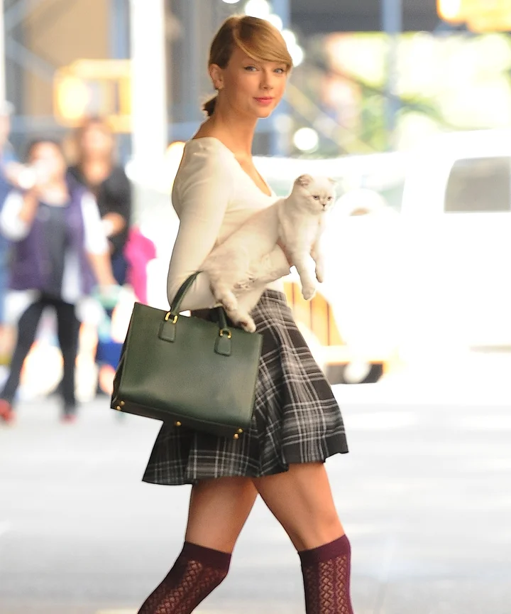 Taylor Swift Cat Backpack From Miss America On