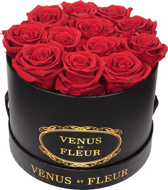 Venus Et Fleur + Design Your Arrangement