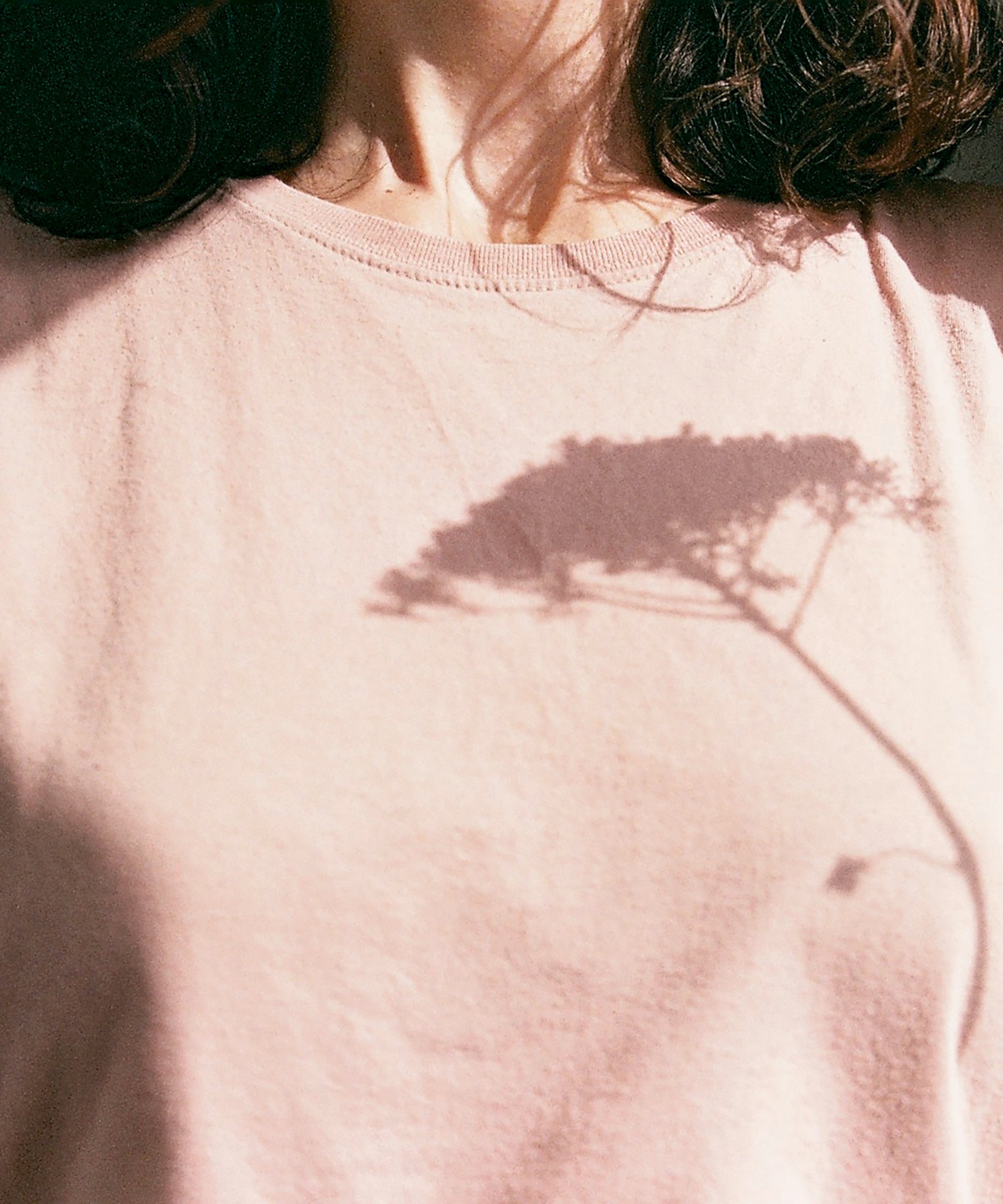 Don D Ovocytes 3 Femmes Partagent Leur Experience