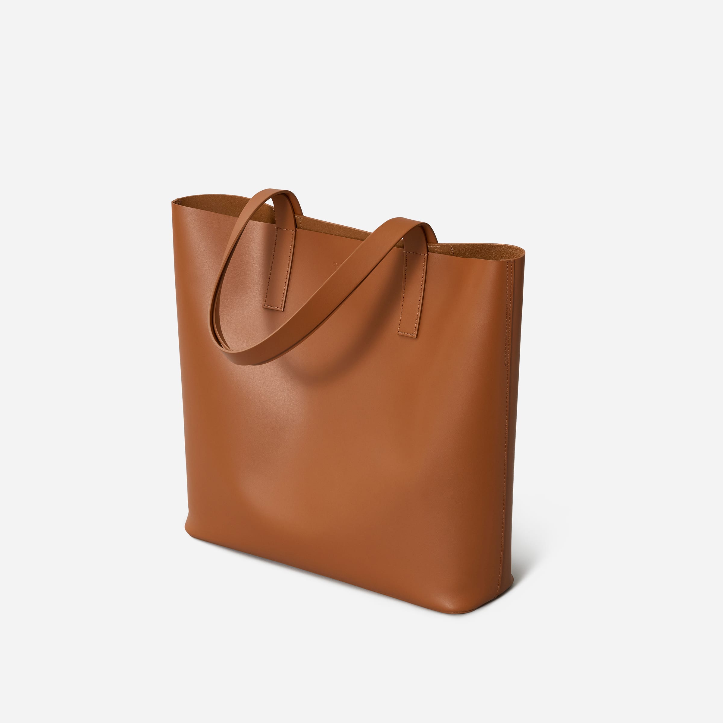 everlane day square tote