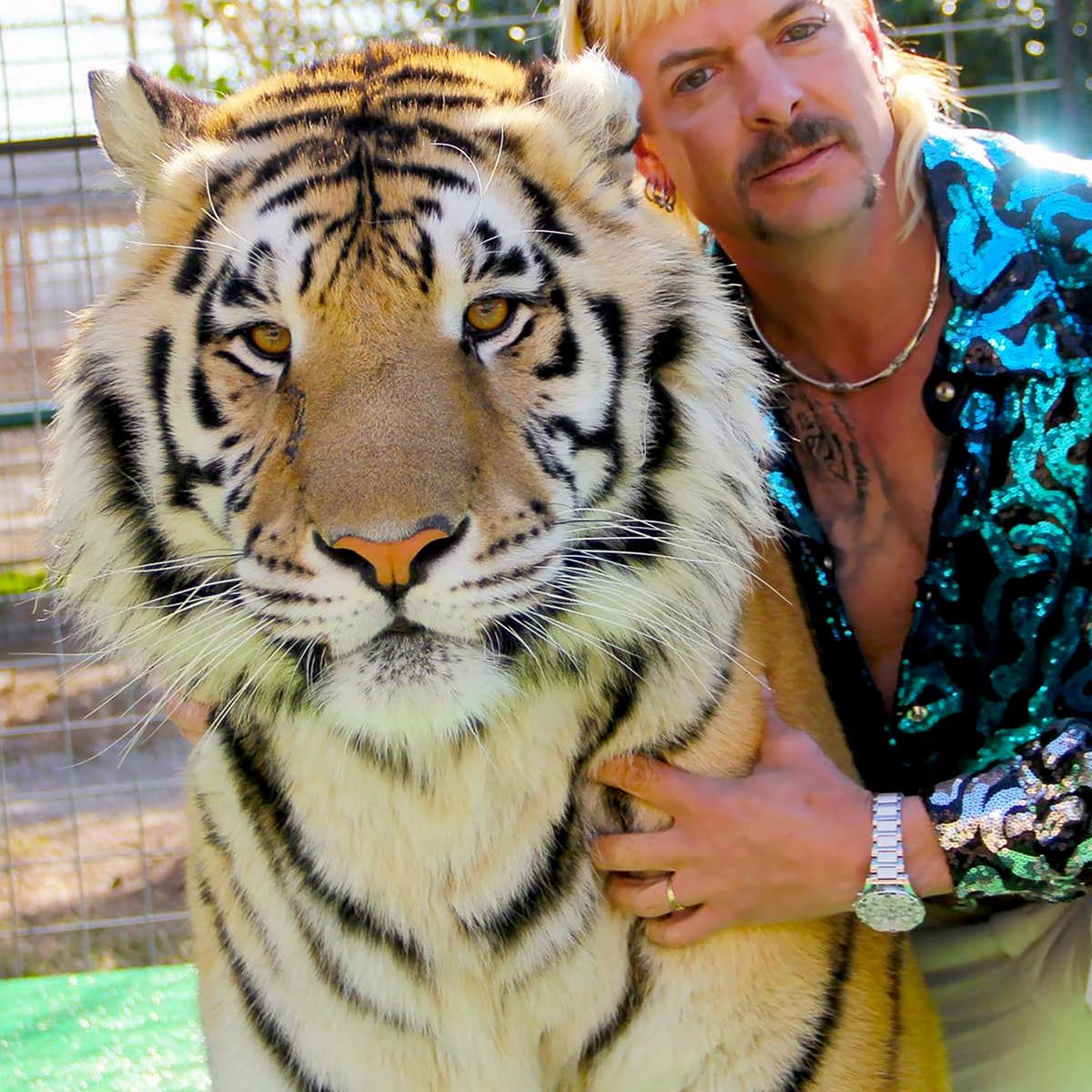 The Best Memes About Netflix Tiger King Docu Series The Best Memes About Netflix Tiger King Docu Series