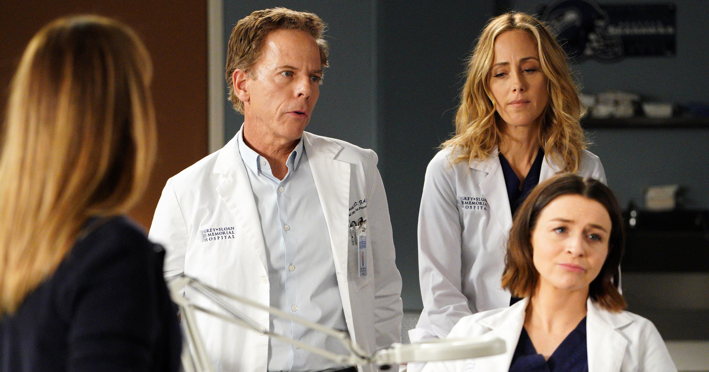 What Greys Anatomy Bisexual Reveal Means For S16 Finale