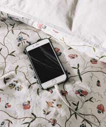 How To Use Snap Camera On Zoom For Potato Filter More How To Use Snap Camera On Zoom For Potato Filter More