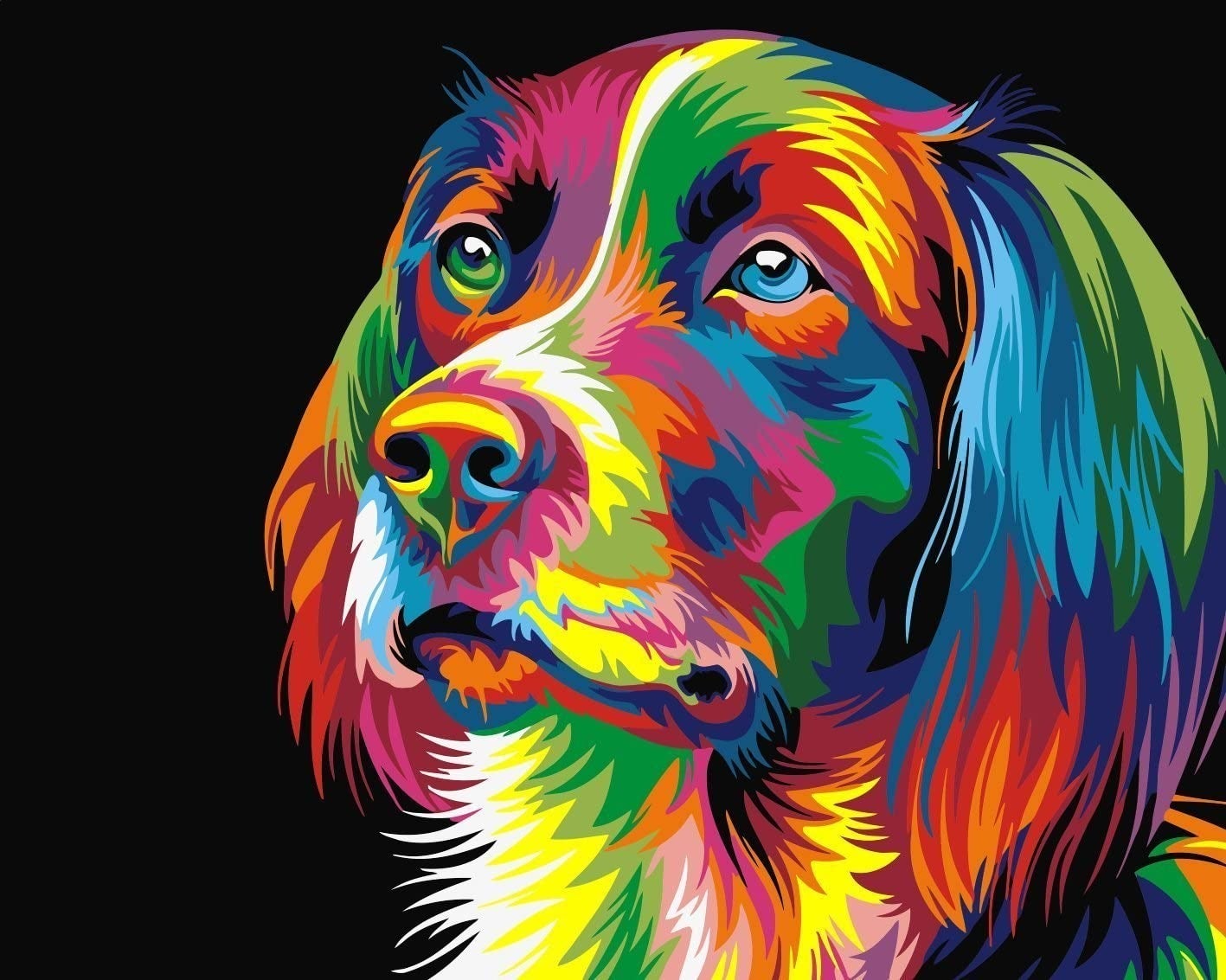 Fuumuui + Paint By Number Colourful Dog
