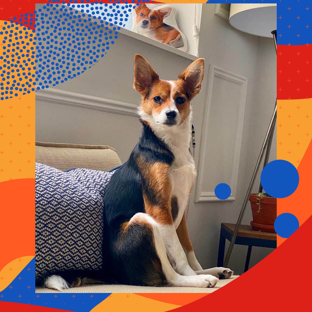 Meet Our Refinery29 Employee Pets: Dogs, Cats & More