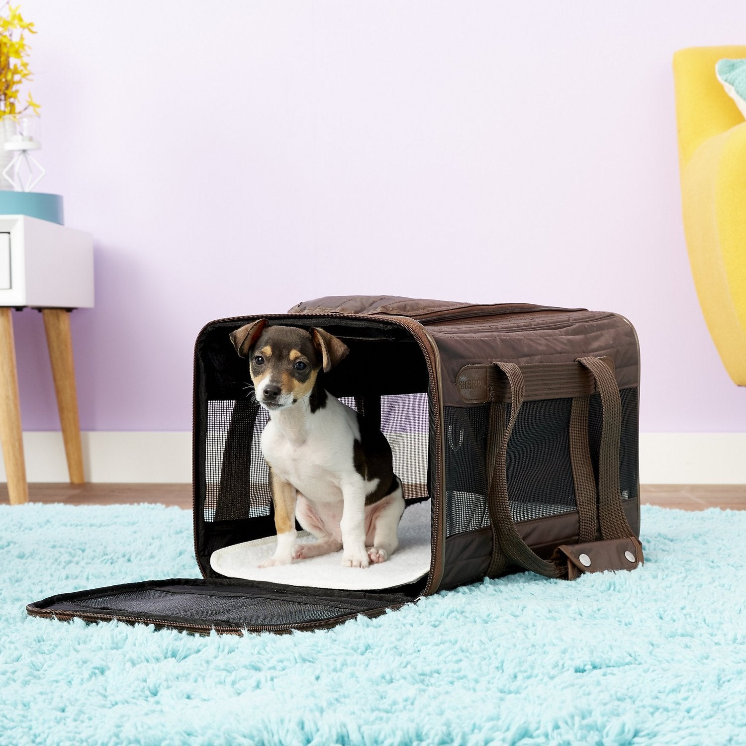 Sherpa + Original Deluxe Pet Carrier