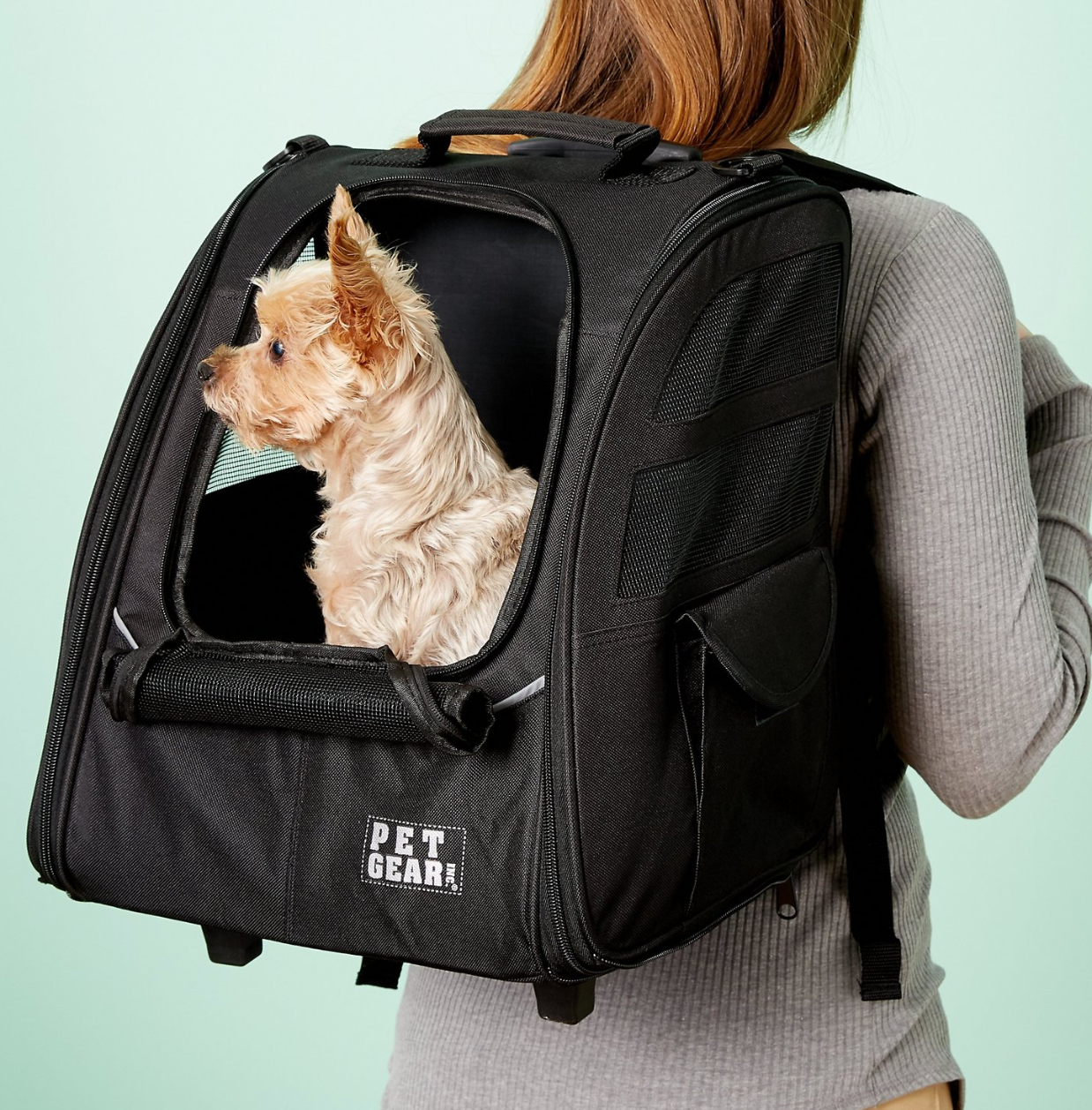 Top-Rated Dog Carriers,