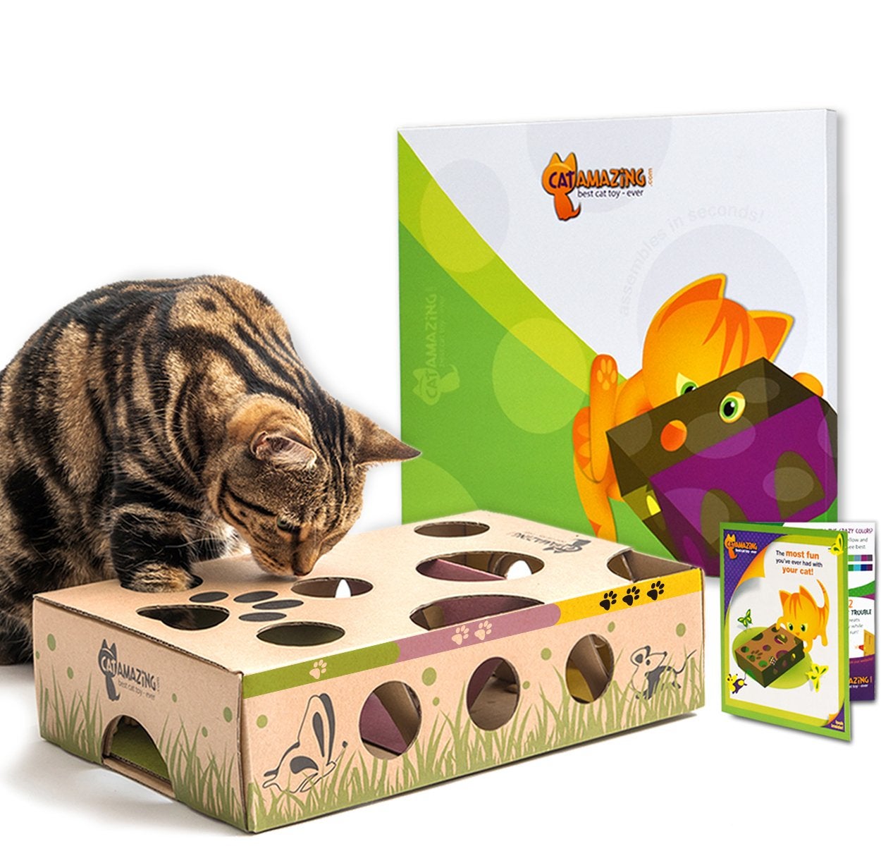 Cat Amazing + Interactive Treat Maze & Puzzle Feeder
