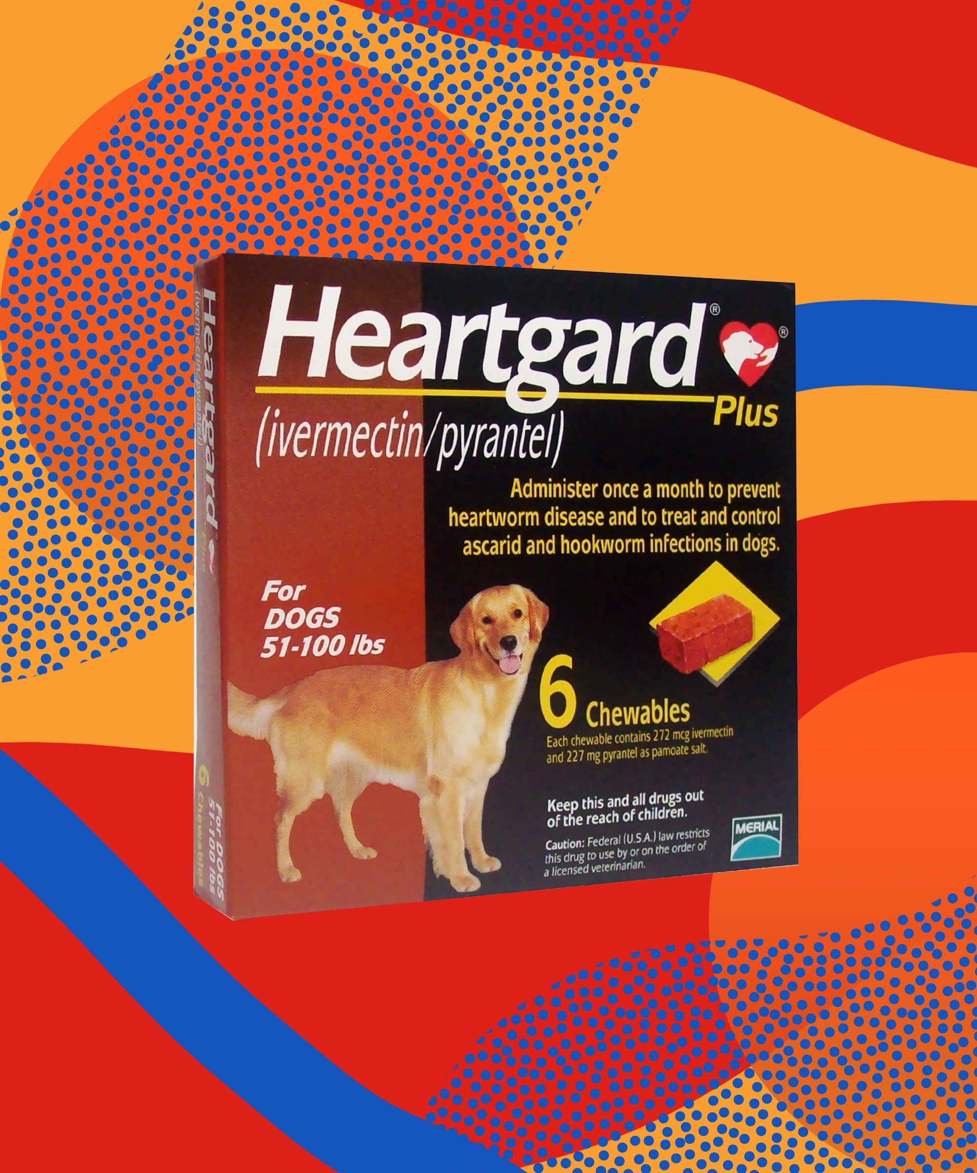 chewy dog heartworm