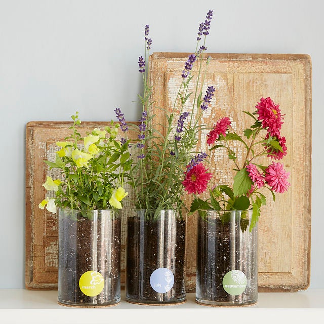 Care Packages Are Nostalgia In A Box Care Packages Nostalgia Box,