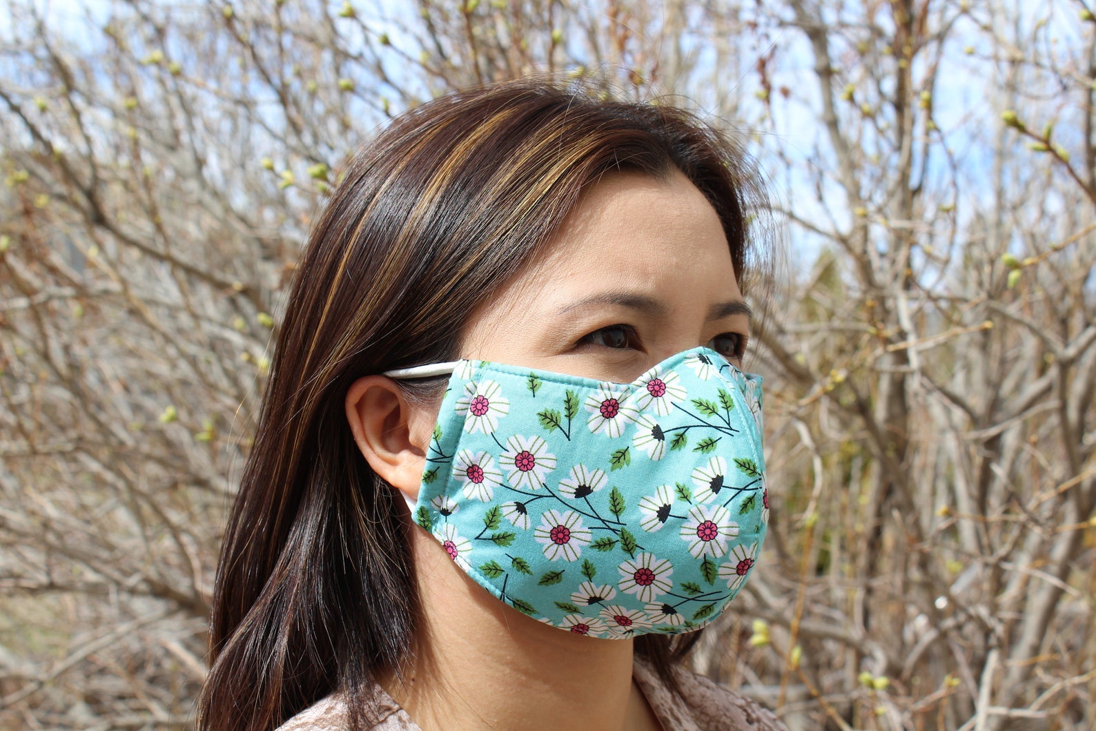 Honestly Healthy + 3 Layer Face Mask