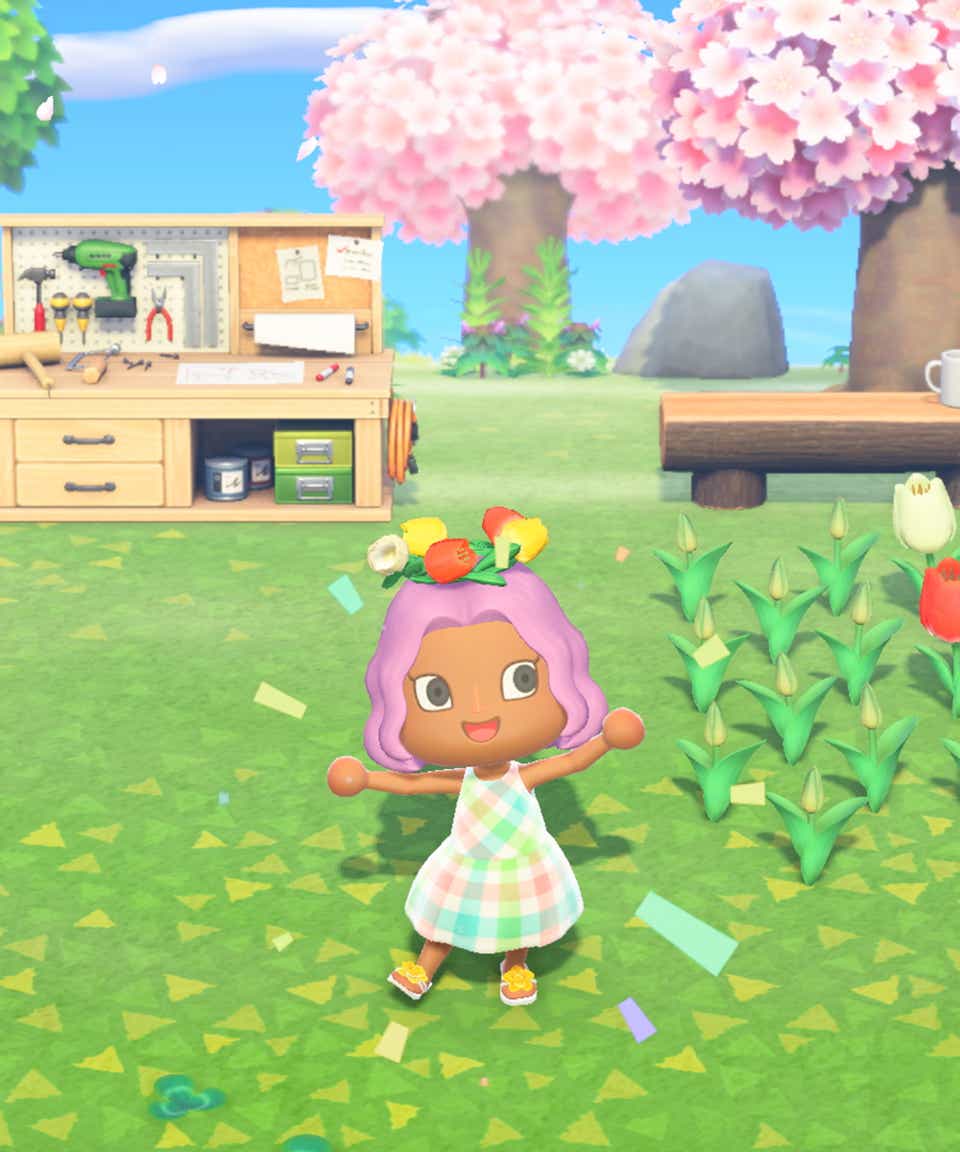 Celebrities Who Play Animal Crossing: New Horizons Game