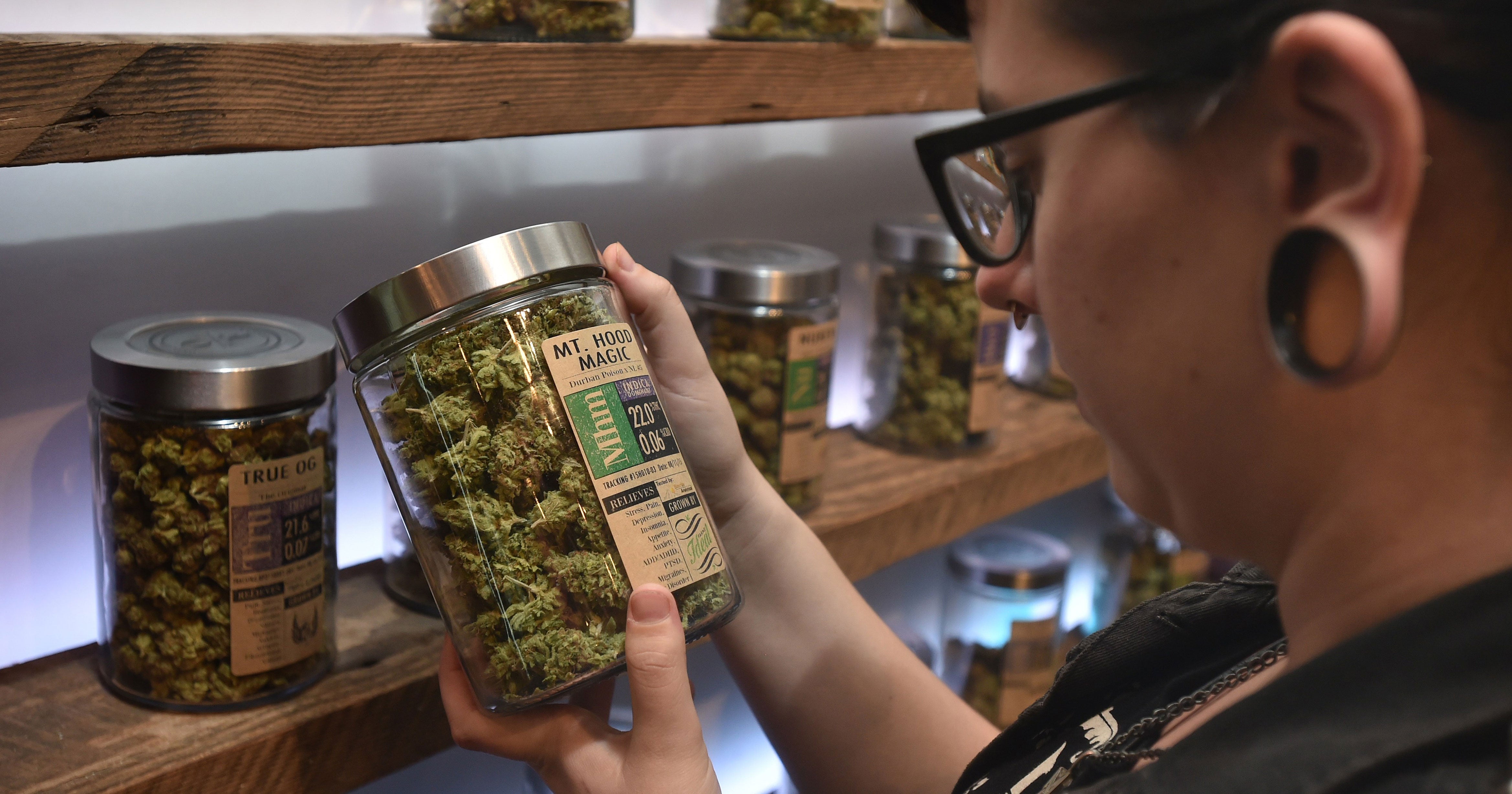 How Much Do Budtenders Make Salary Of Jobs In Cannabis how-much-do-budtenders-make-salary-of-jobs-in-cannabis