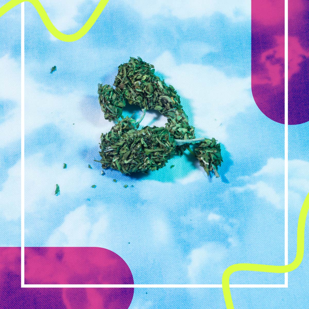 Funny 4 Memes About Weed To Send To Stoner Friends Funny 4 Memes About Weed To Send To Stoner Friends