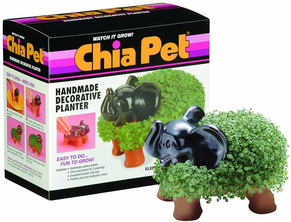 Пет 11. Чиа петс. Chia слон. Chia Pet купить. Чиа на статуэтке