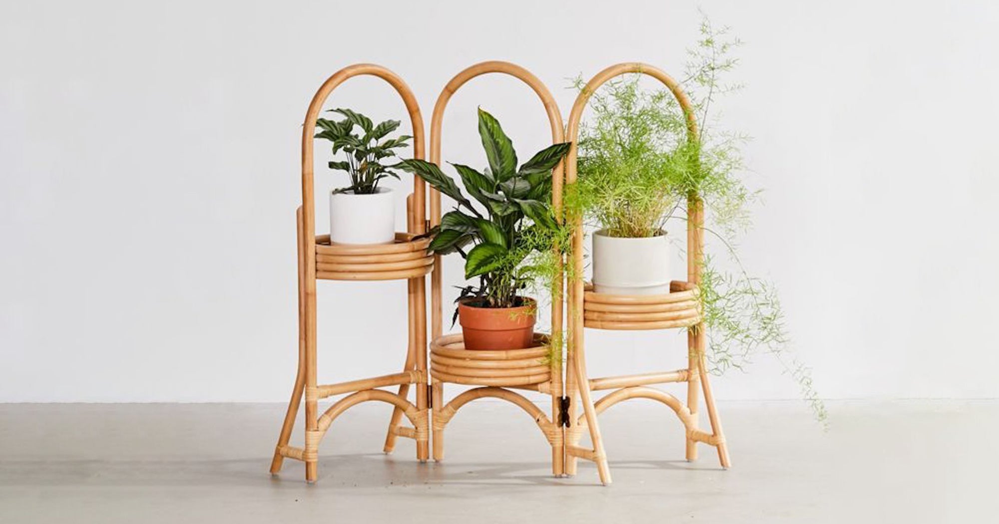 Best Indoor Plant Stands For Houseplants Of Every Size