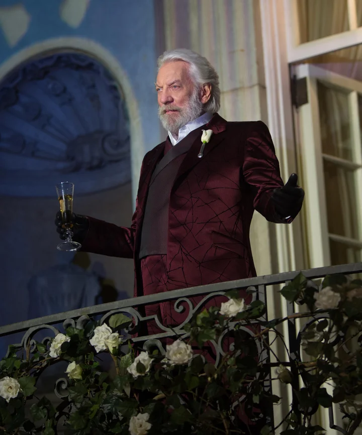 Hunger Games Prequel About President Snow Problematic