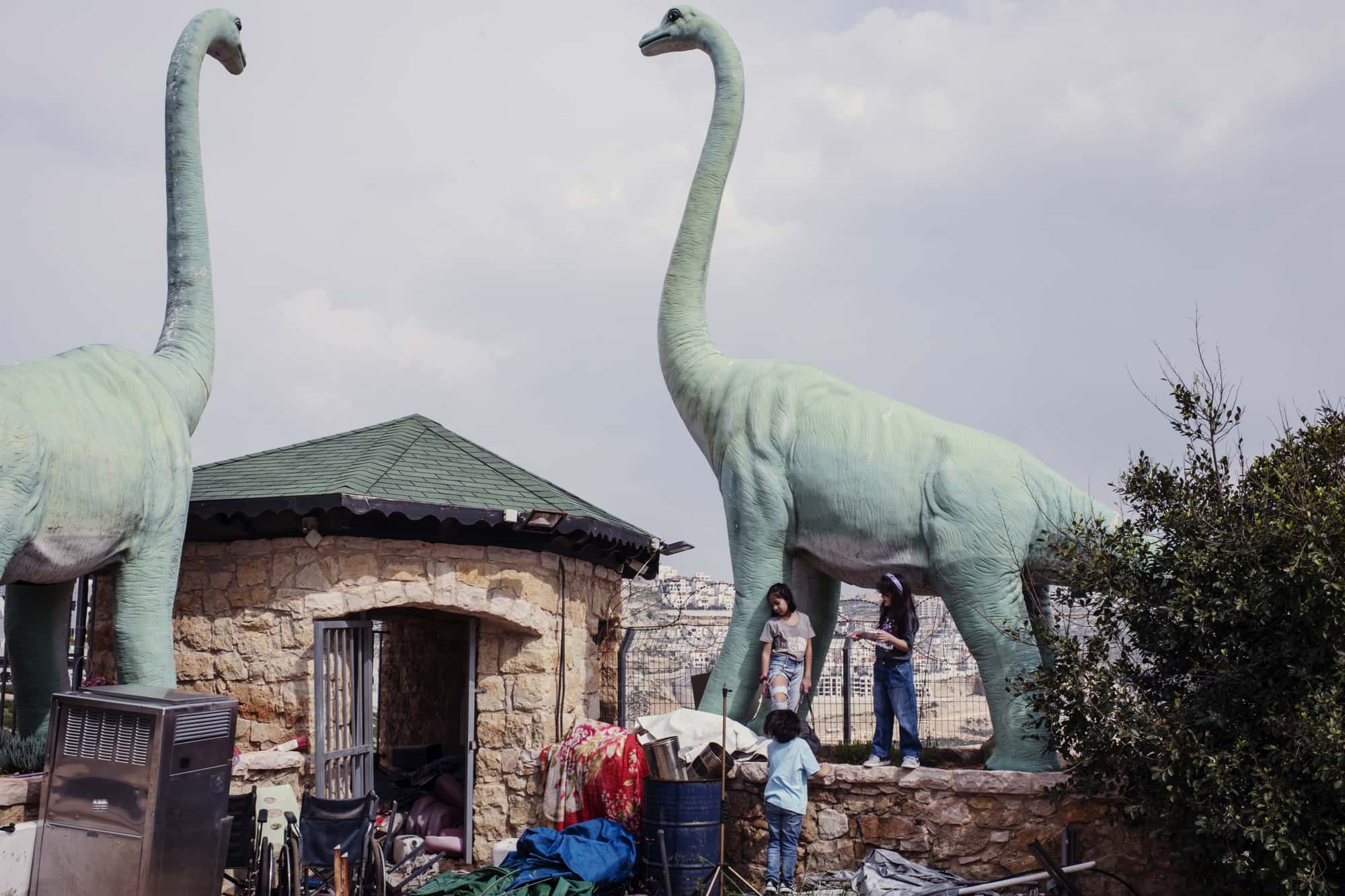 image from Palestine