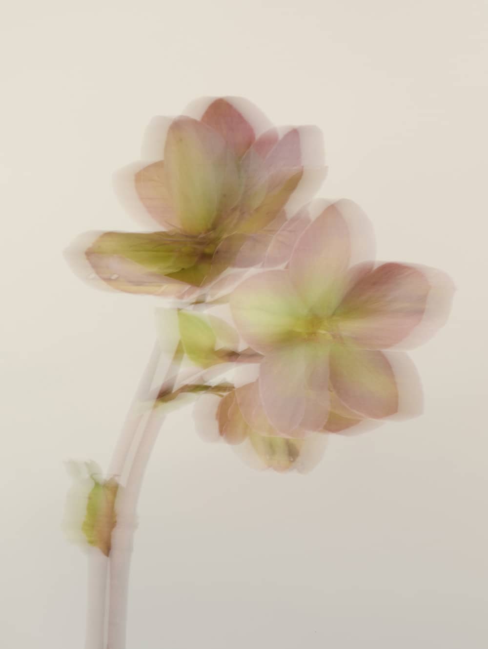 image of