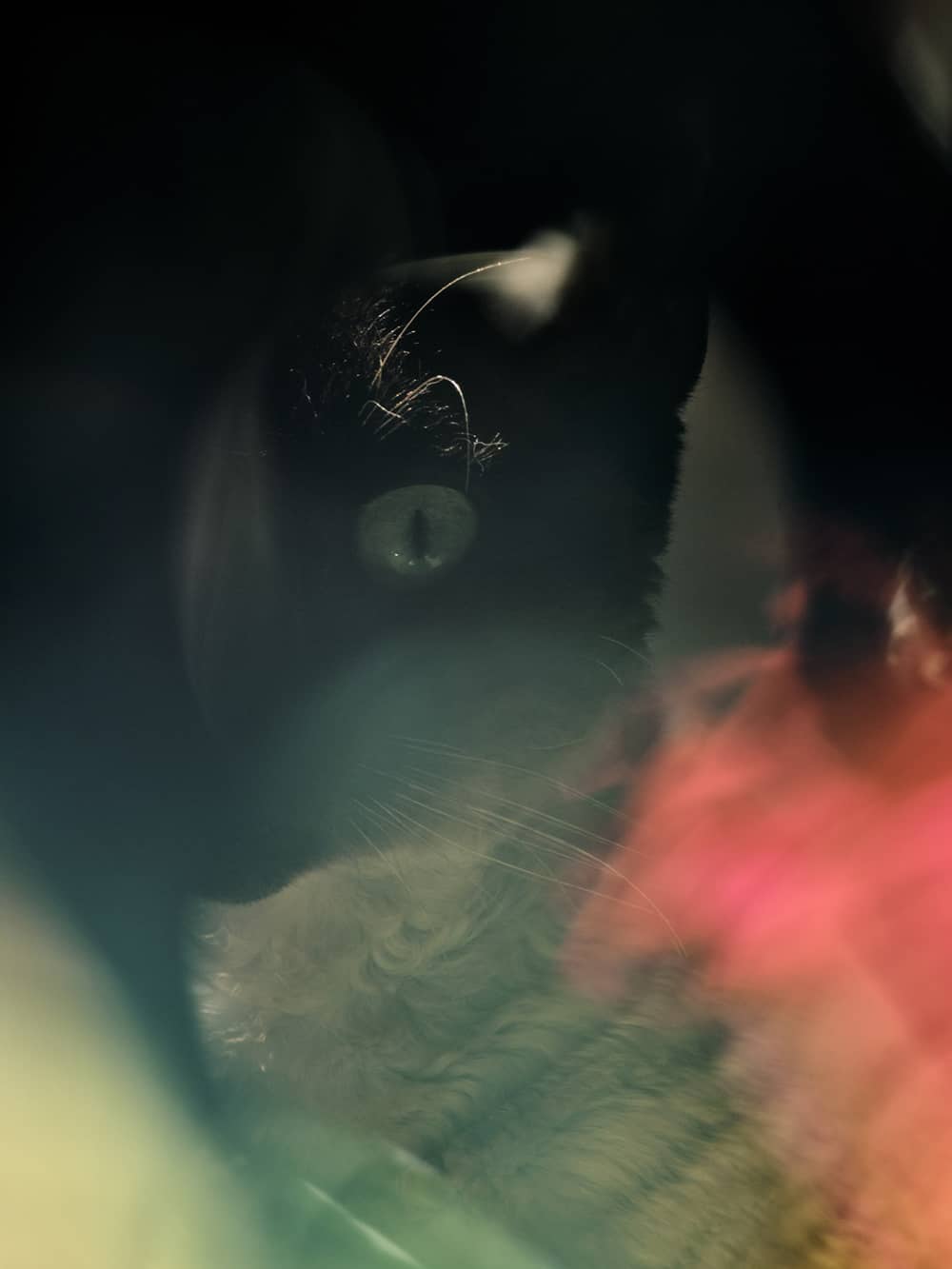 image of