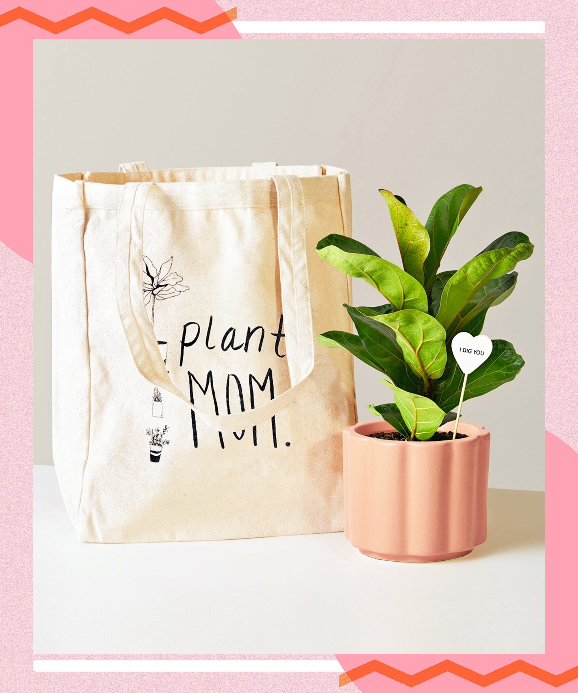 mother's day plant gifts
