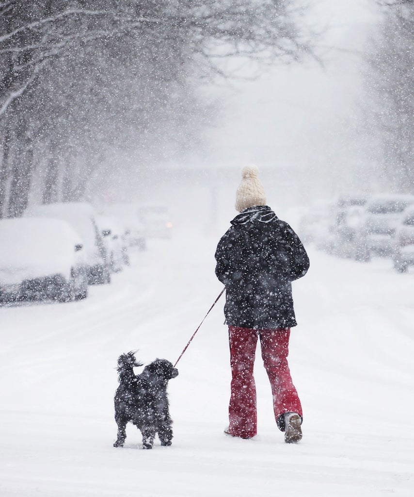 Real Snow To Fall From The Sky This Weekend Real Snow Weekend,
