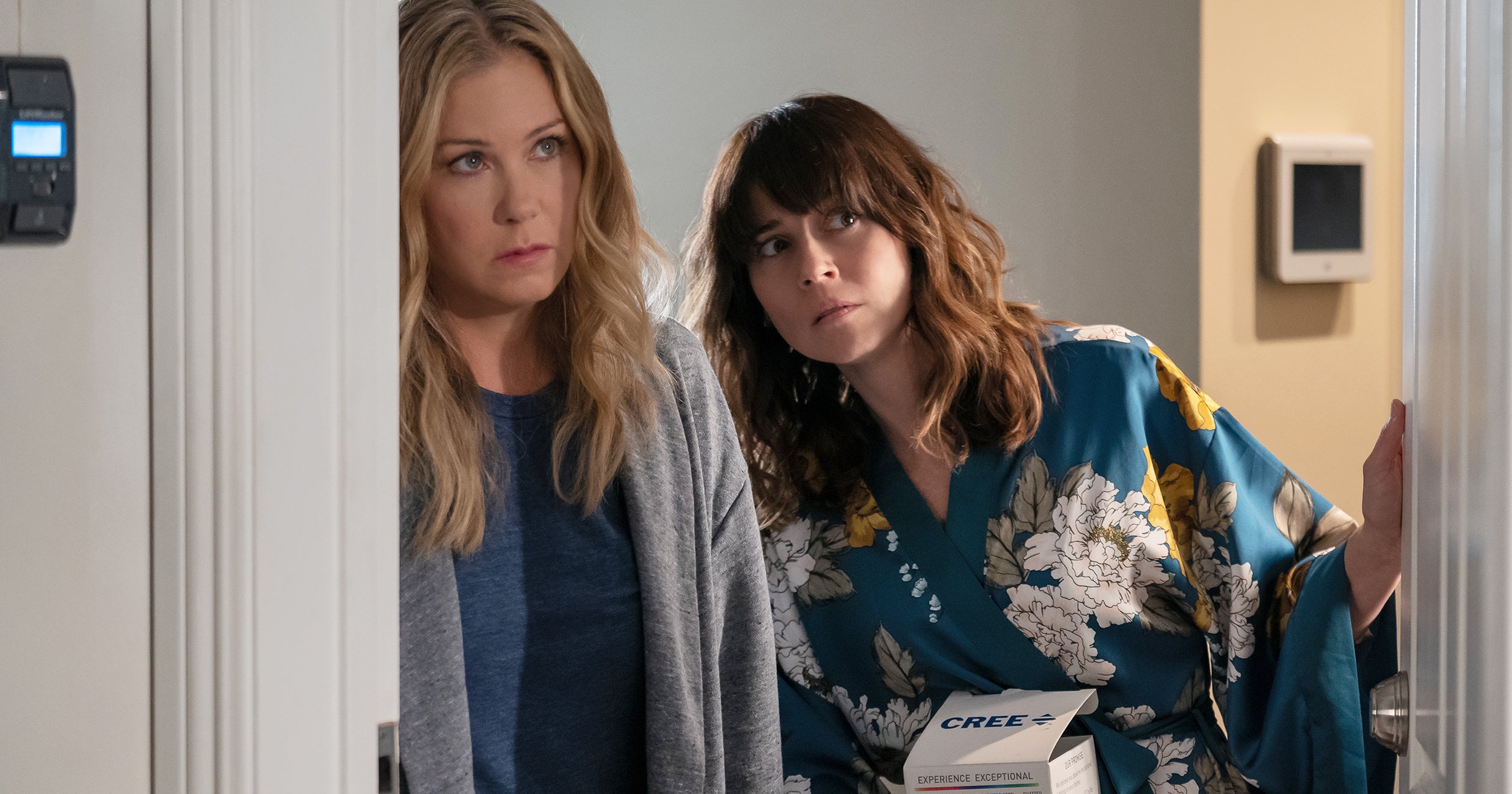 Everything to Remember from Netflix's 'Dead to Me' Seasons 1 and 2