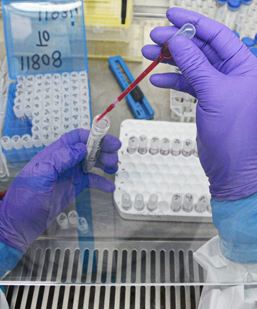 Coronavirus Might Become Endemic,