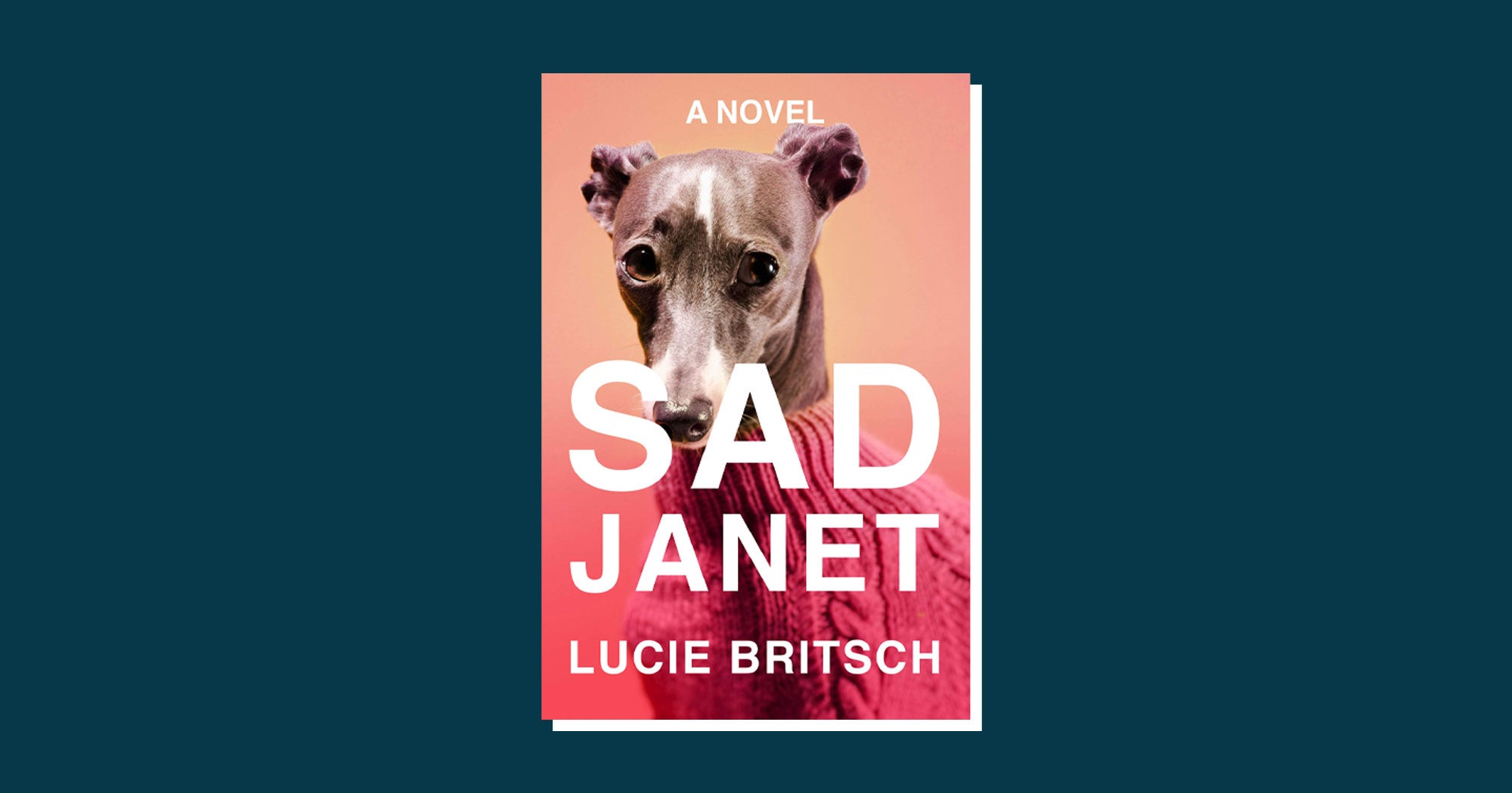 Best Summer Books 2020, Novel Reviews