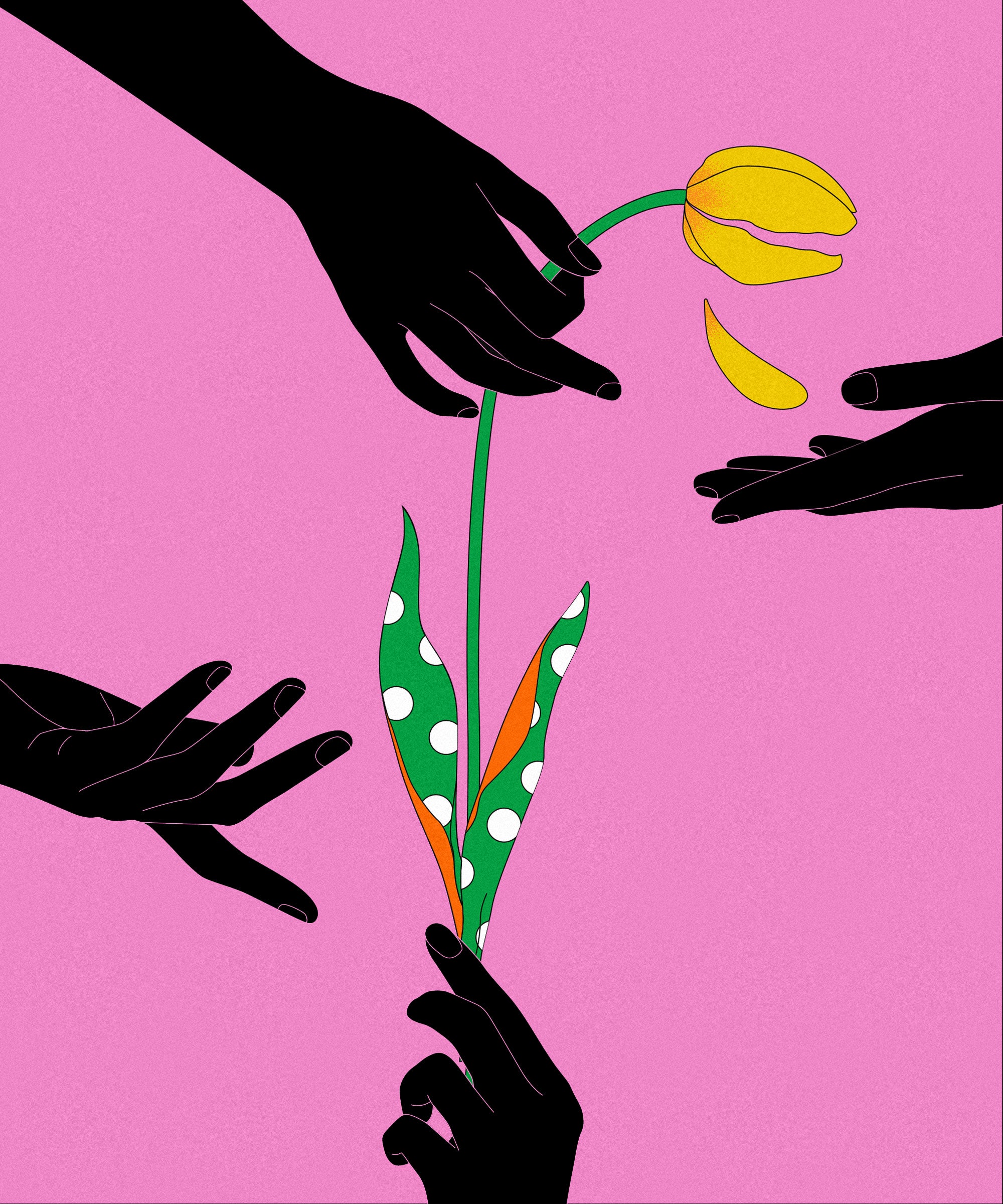 Comment Se Remettre D Une Fausse Couche Durant Le Covid