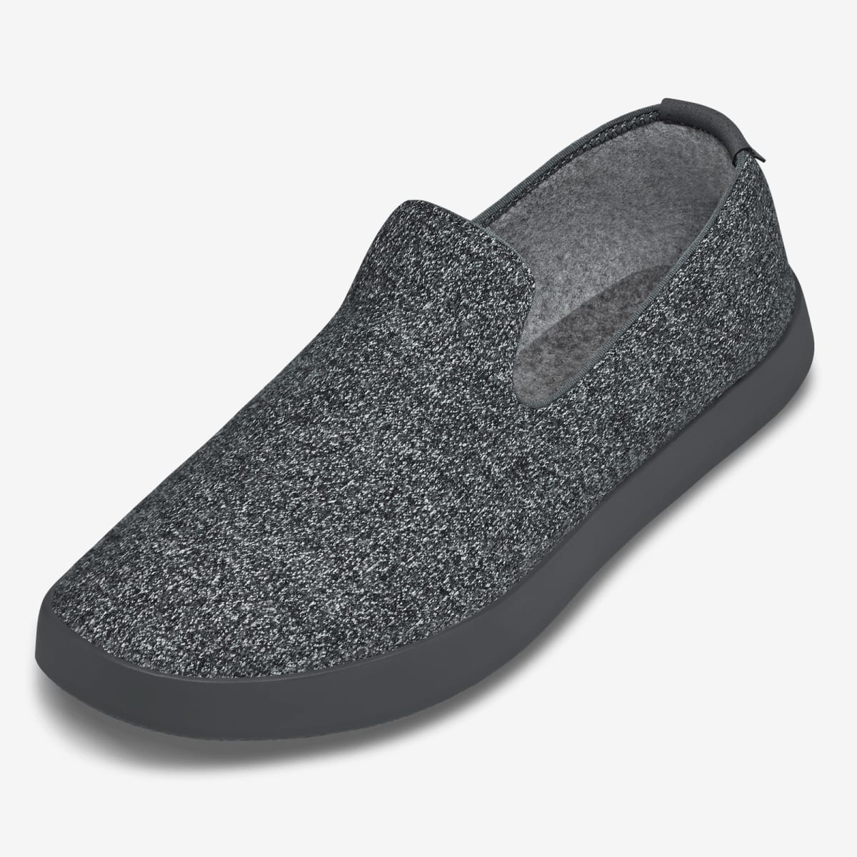 Single Allbirds Shoe