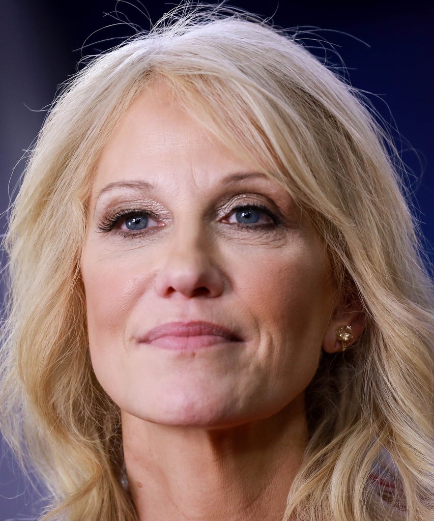 Did Kellyanne Conway Just Compare Voting To Standing In Line For Cupcakes Kellyanne Conway Voting,