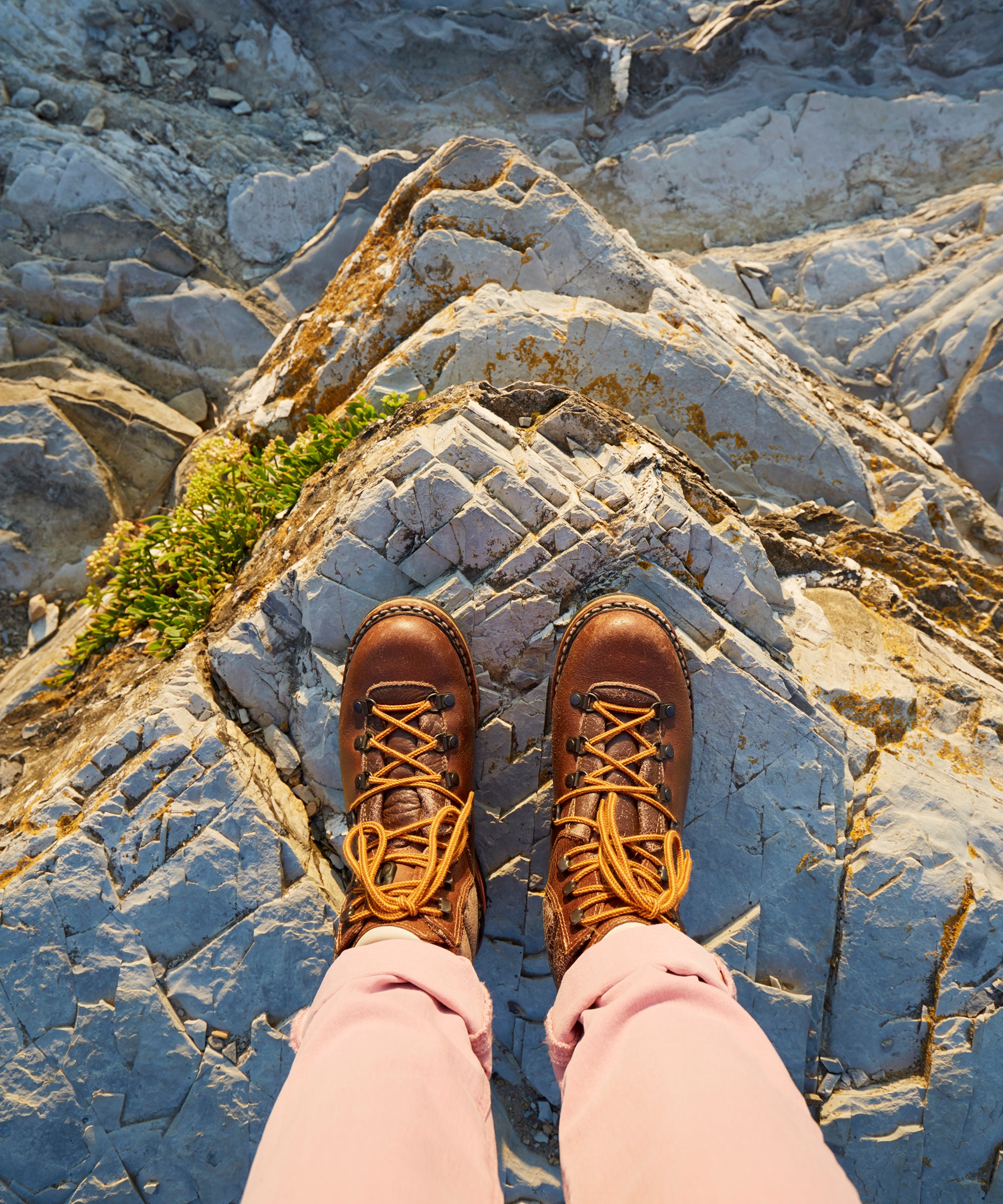 ll bean alpine hiking boots