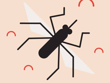 Get Alkohol zeigt donin wahren charakter Desktop Wallpaper Free Alkohol Zeigt Donin Wahren Charakter