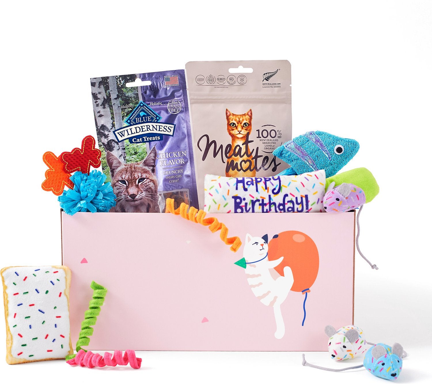 GOODY BOX Birthday Dog Toys & Treats, X-Small/Small 