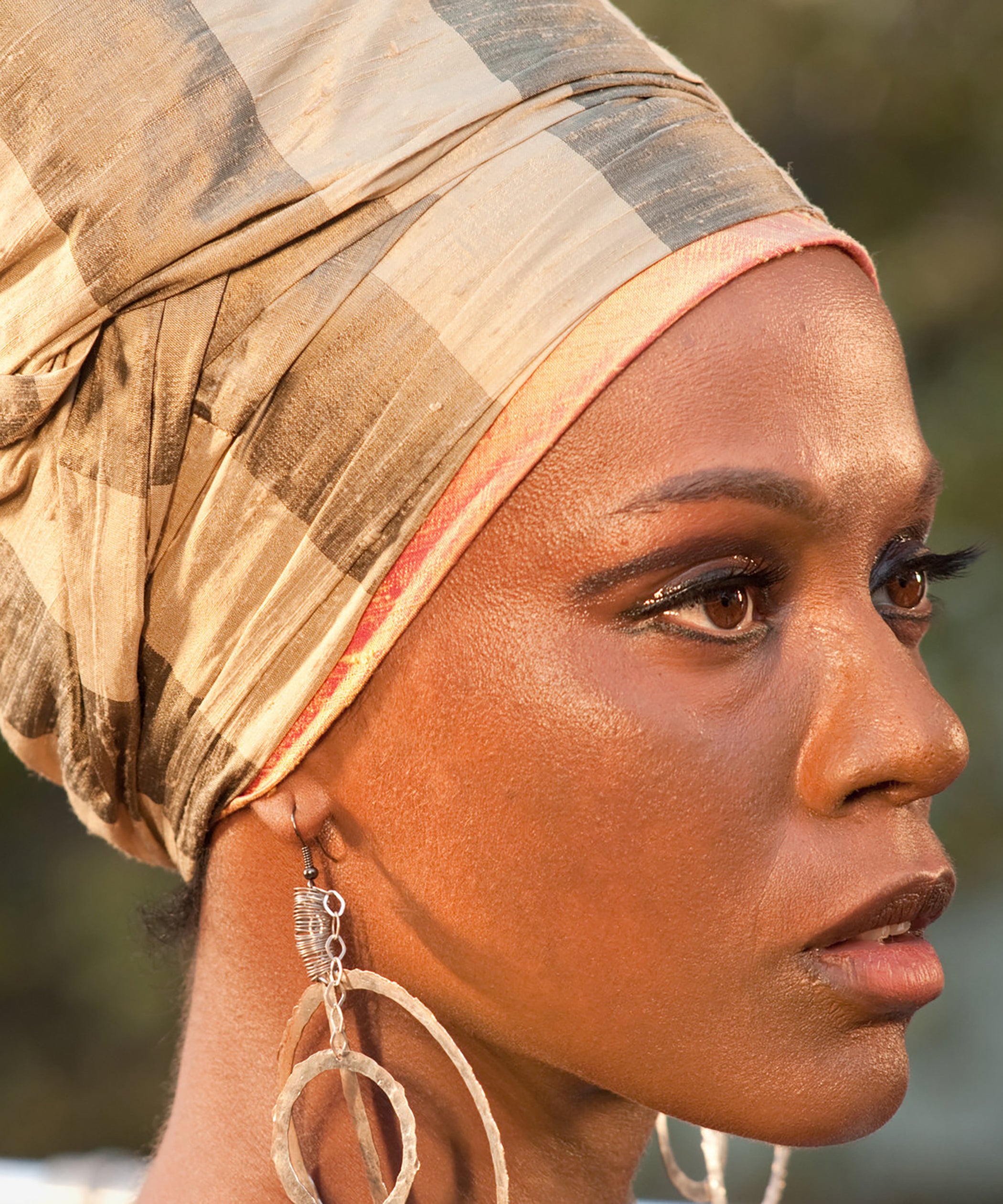 The Priceless Nina Controversy: You Decide