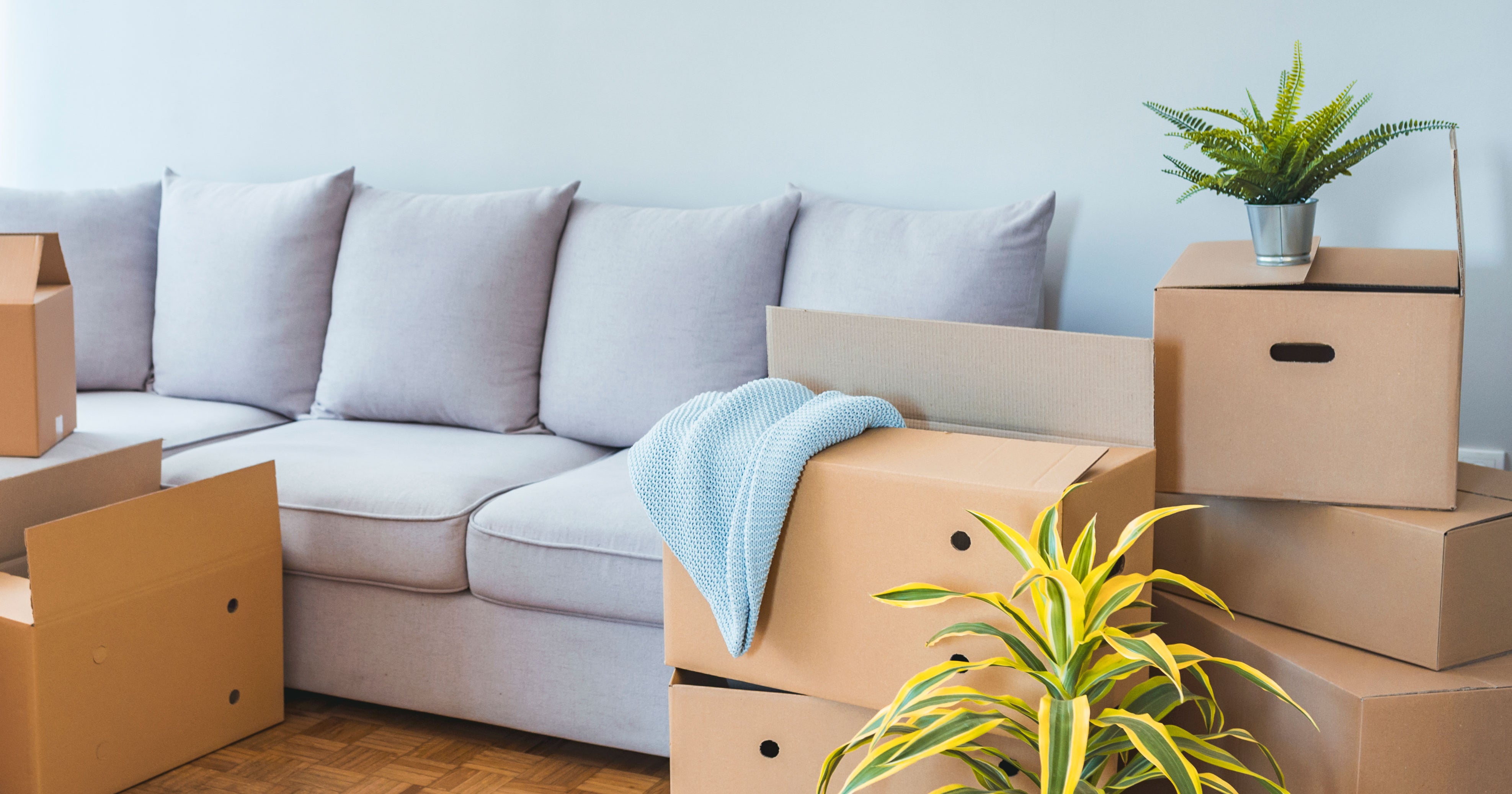 How To Move During The COVID19 Pandemic Safety Guide