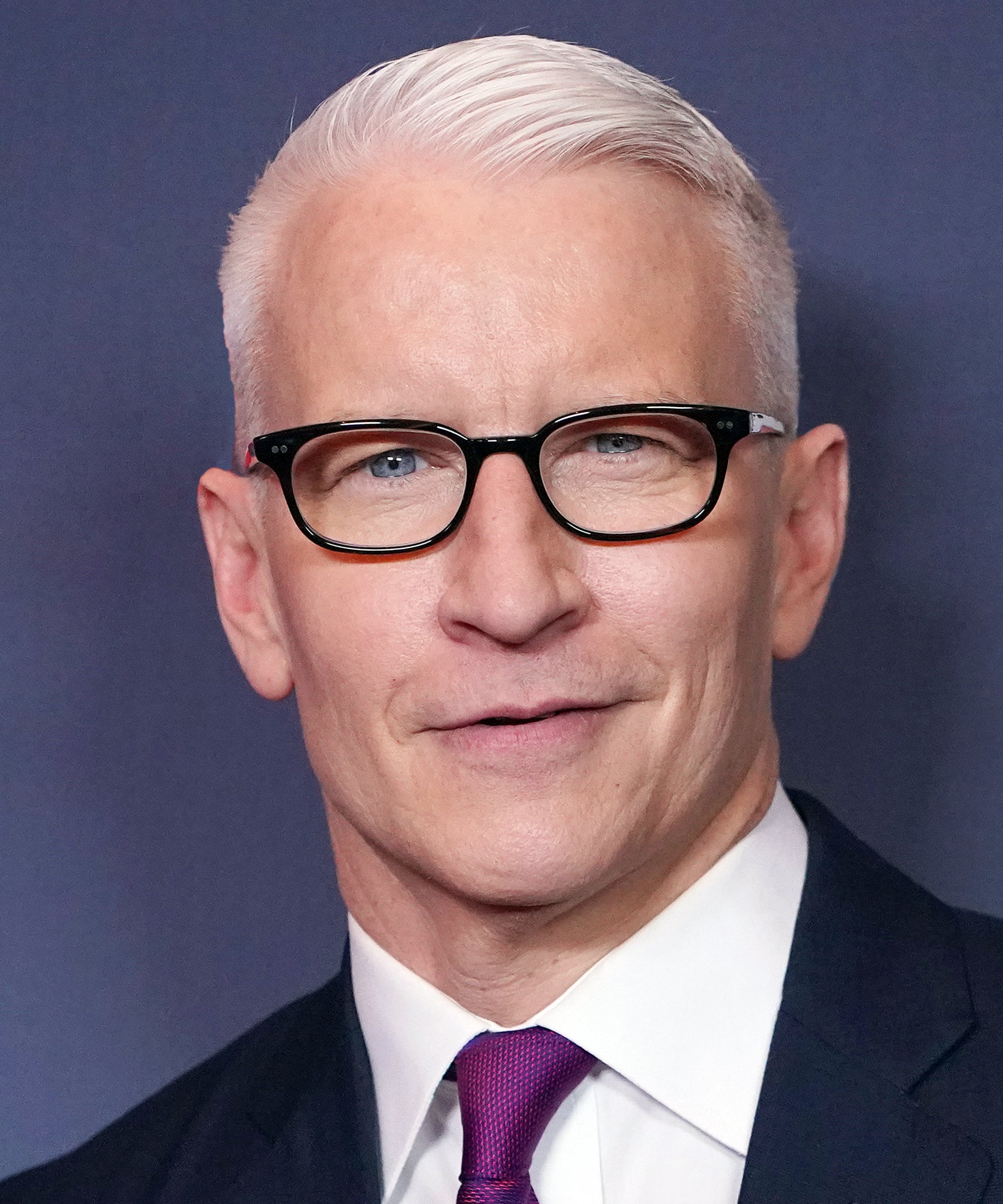 Celebs Who Look Even Better With Gray Hair, From Anderson Cooper to Steve  Carell