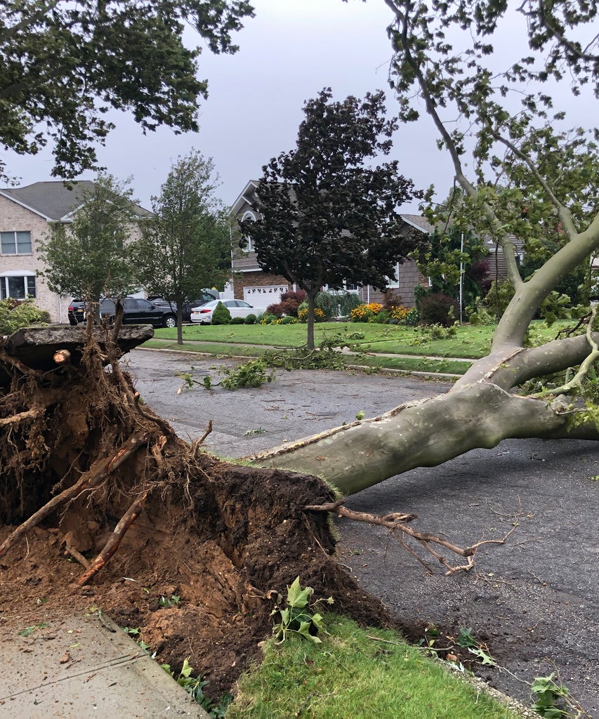 Hurricane Laura Could Devastate COVID-19-Ridden States Hurricane Laura Could Devastate COVID-19-Ridden States,